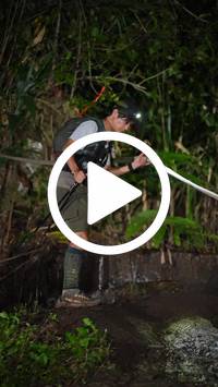 BIB:  <button type="button" onclick="openModal(27706086)" class="btn btn-primary btn-sm float-right" data-toggle="modal" data-target=".modal-high-quality">
                <i class="fa fa-download"></i> Download
                </button>